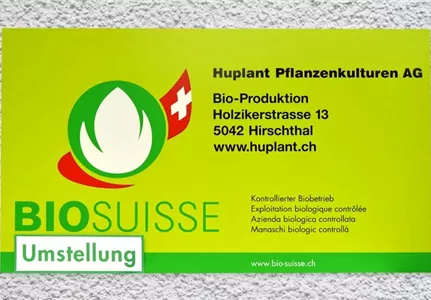 Huplant_Geschichte (10).jpg