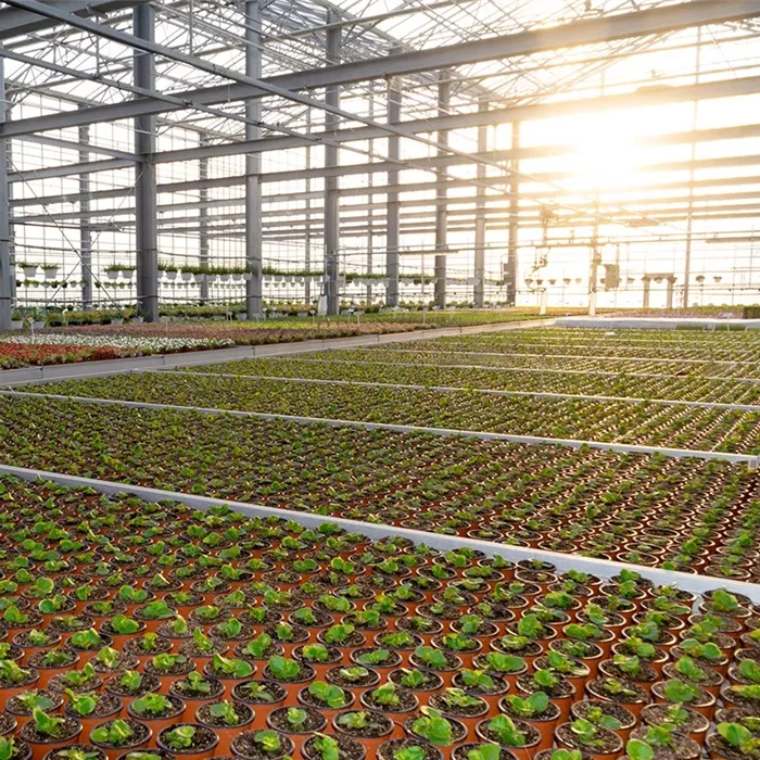 Bio-Produktion Bio-Produktion