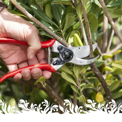 Felco Reparatur- und Servicetag, Samstag, 18. Oktober, 9.00–16.00 Uhr Felco Reparatur- und Servicetag, Samstag, 18. Oktober, 9.00–16.00 Uhr