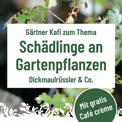 Gärtner Kafi, Montag, 20. Oktober um 9.30 Uhr im Florina  Gärtner Kafi, Montag, 20. Oktober um 9.30 Uhr im Florina