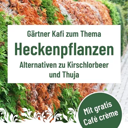 Gärtner Kafi, Dienstag, 28. Oktober um 9.30 Uhr im Florina  Gärtner Kafi, Dienstag, 28. Oktober um 9.30 Uhr im Florina